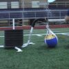 Kick-it Soccer Trainer - Image 2